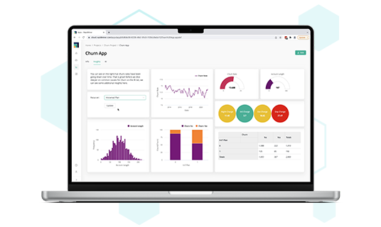 Altair® RapidMiner®                        