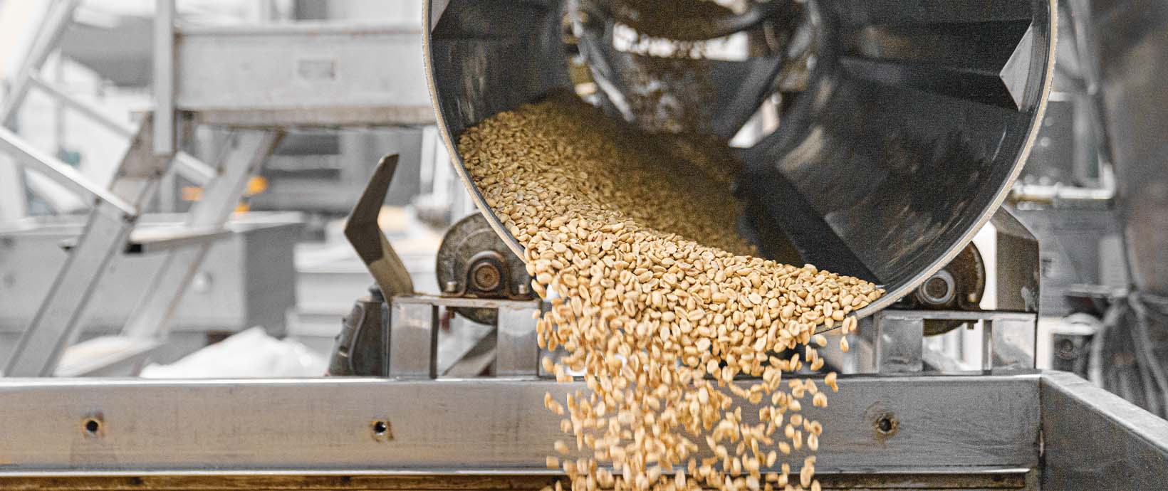 Machinery Design for Food and Beverage Processes: How to Meet the Challenges