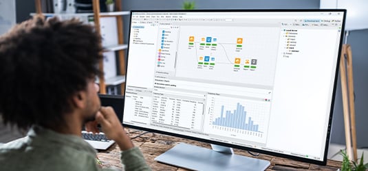 Person on desktop monitor open to Altair Analytics Workbench.