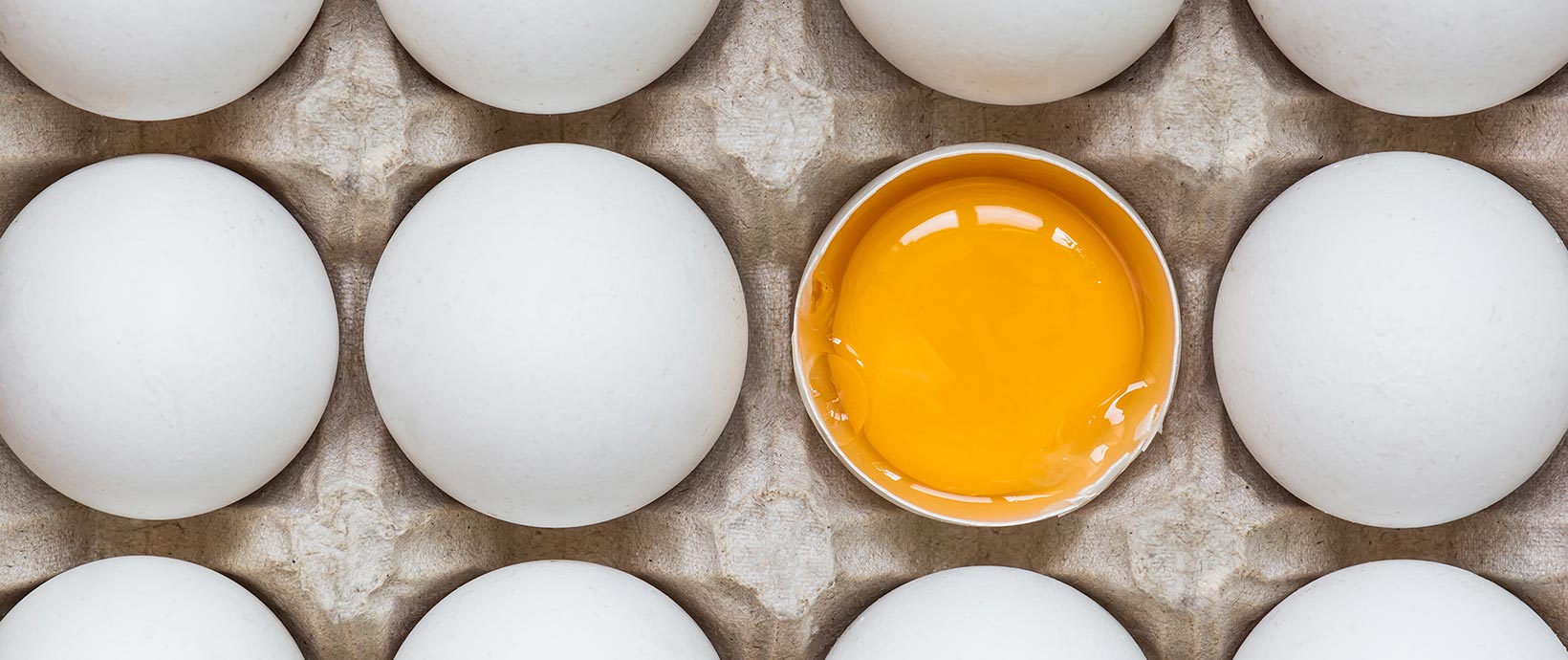 Digital Debunking: Can the Humble Egg Support the Weight of a Person?