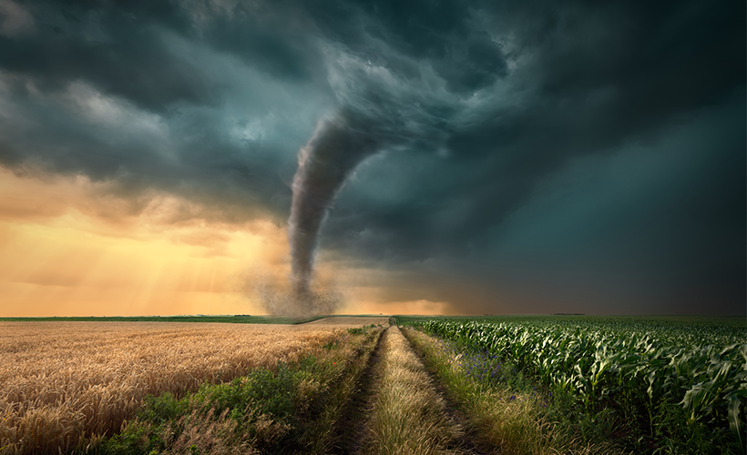 Digital Debunking: Could a Tornado Make a Cow Fly?