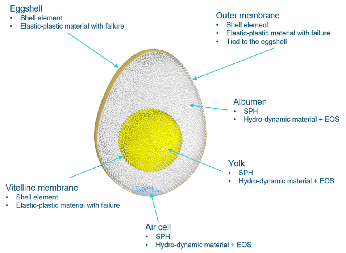 Using Radioss, a combination of different material models can be used.