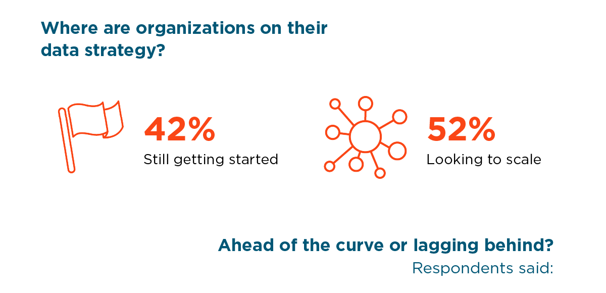 Where organizations are at on their data strategy.