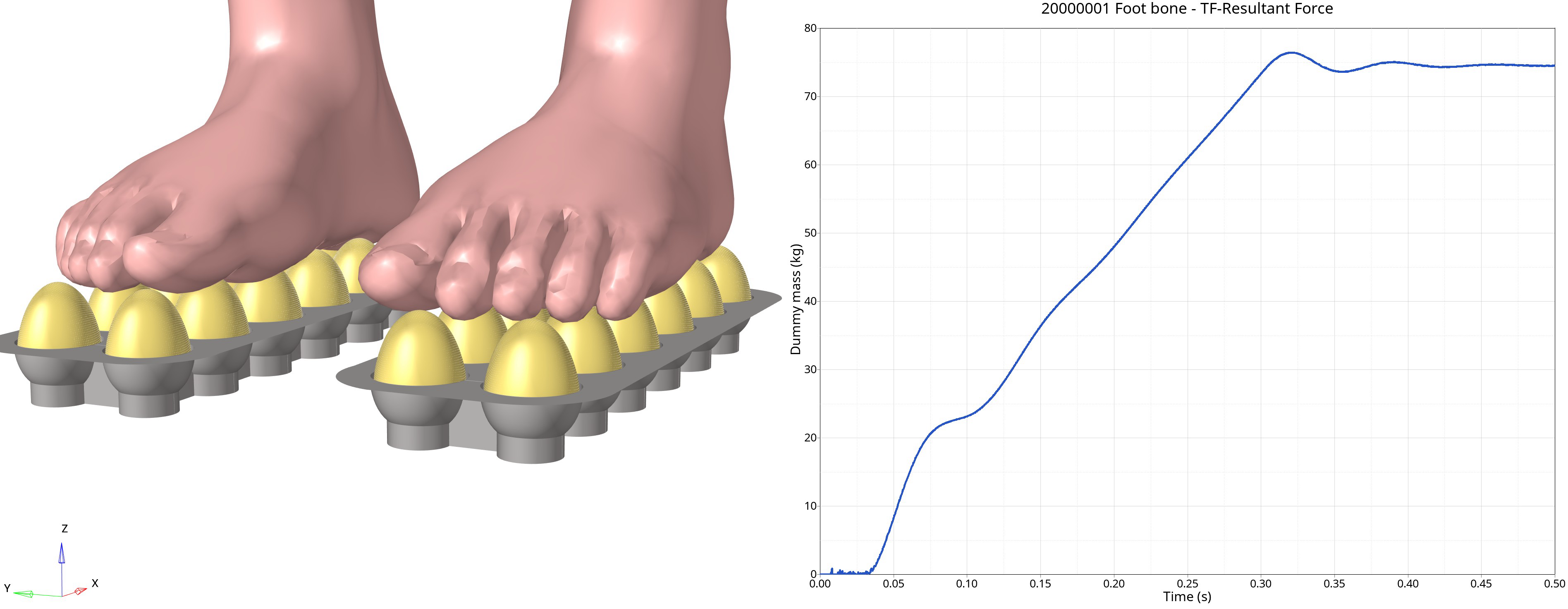 In our analysis, two dozen eggs can easily support a weight of roughly 75 kilograms. 