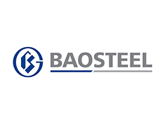 Baosteel Co. Ltd.                        