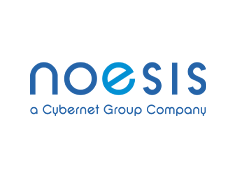 Noesis Solutions                        