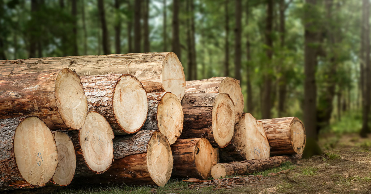 Reimagining Heavy Equipment Design - Etteplan uses Altair® Inspire™ for Tree Harvester Component