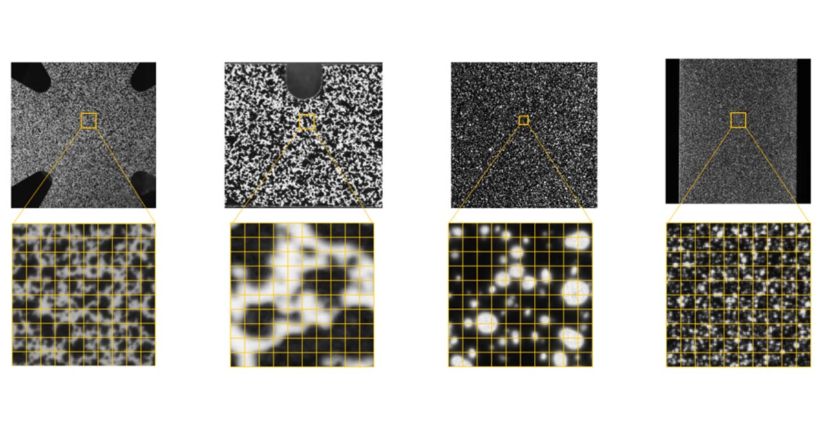Your First DIC Experiment with EikoTwin: Setup 
Tips for Altair Users