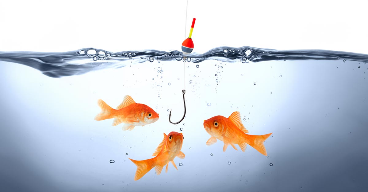 The Fish Are Byting: How to Reel in the Right Data for Your Digital Transformation