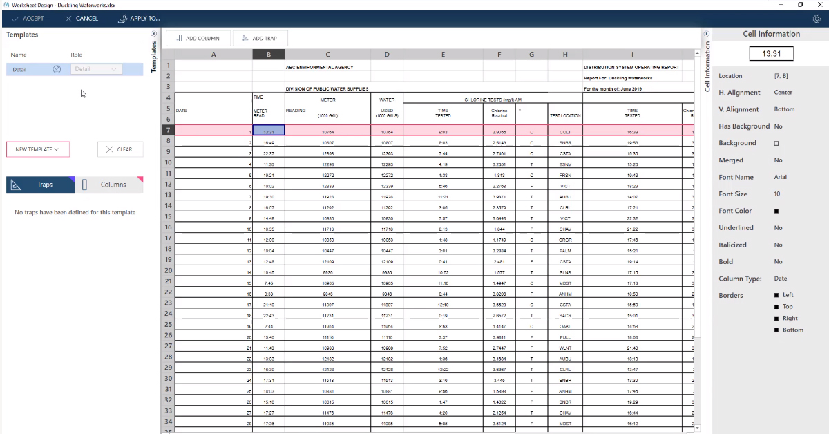 Capturing Data in Monarch's Excel Worksheet Design