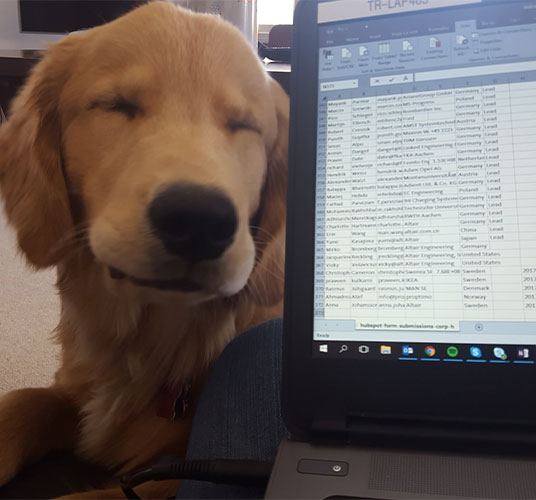 Dog next to monitor